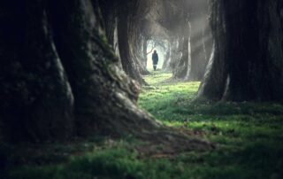 intermission Woman walking in the mystic magic deep forest. Photo: iStock.com/francescoch