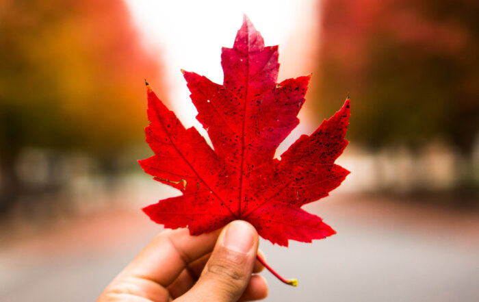Canada. Photo: AJ Gallagher / Unsplash